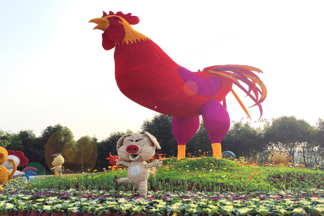 花香田園景區(自貢花香田園)