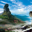 梵淨山(中國佛教五大名山之一，國家5A級旅遊景區)