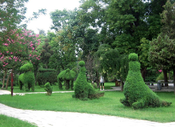 淮陽剪枝公園(剪枝公園)