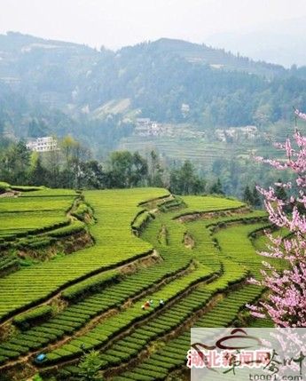 寨灣村(湖北省恩施市芭蕉集寨灣村)