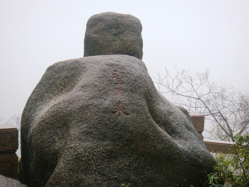 靈岩石龜