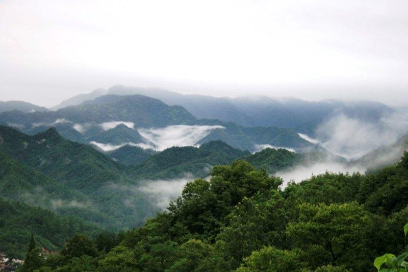 寶天曼國家級自然保護區(寶天曼自然保護區)