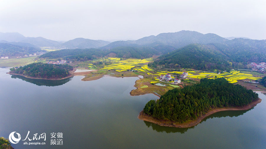 鳳棲村(安徽省望江縣鳳棲村)