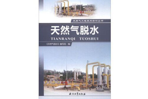 天然氣脫水(2018年石油工業出版社出版的圖書)