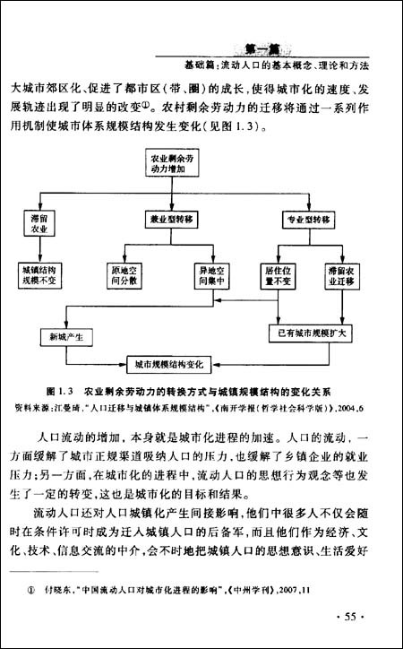 中國人口流動遷移與城鎮化研究系列報告：流動人口理論與政策綜述報告