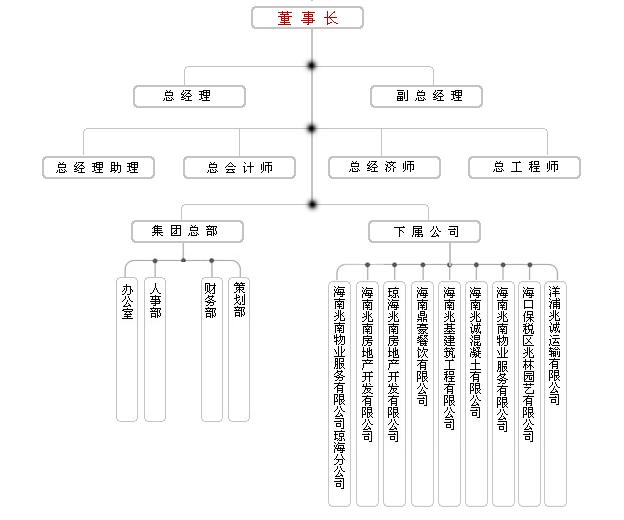 集團組織機構