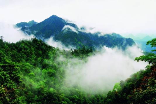 廣東湯泉省級森林公園