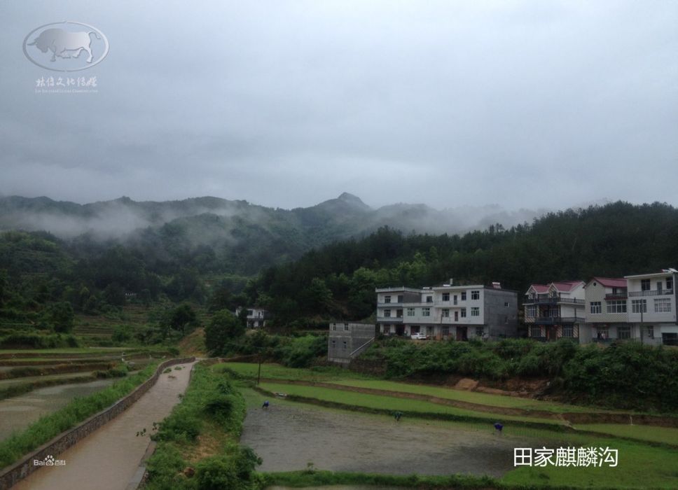 毛坪自然村(永善縣溪洛渡鎮水田村下轄自然村)