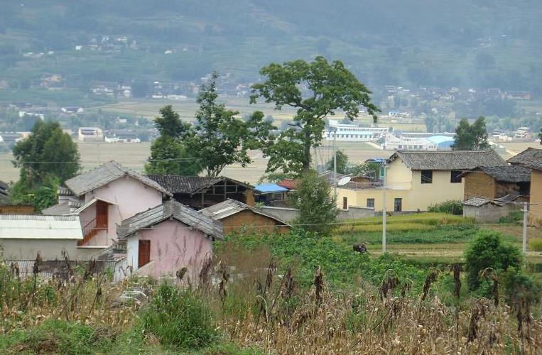 大樓子自然村(雲南省施甸縣甸陽鎮大竹蓬村大樓子自然村)