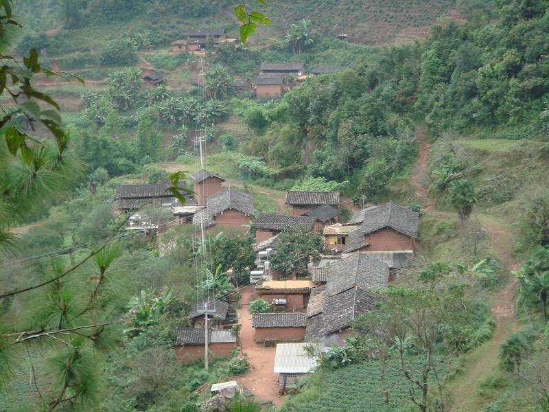 大岔路村