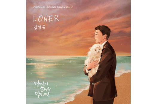 Loner(金聖圭演唱的歌曲)