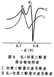 絡合物吸附波