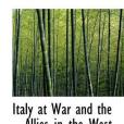 Italy at War and the Allies in the West(Powell, E Alexander著圖書)