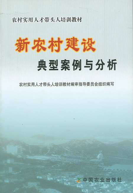 新農村建設典型案例與分析