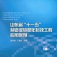 山東省十一五製造業信息化科技工程套用案例