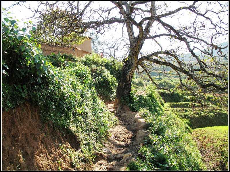 康郎大龍潭村