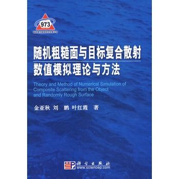 隨機粗糙面與目標複合散射數值模擬理論與方法