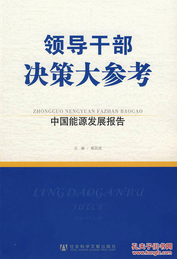 領導幹部決策大參考：中國能源發展報告