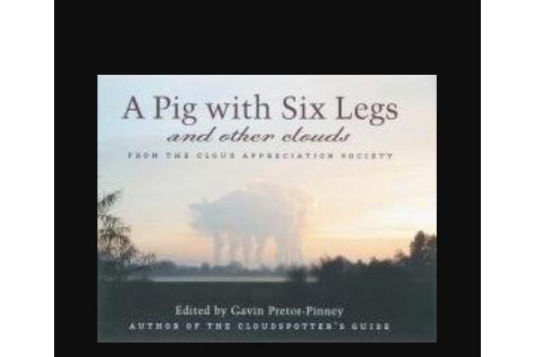 A Pig with Six Legs and Other Clouds