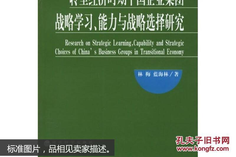 轉型經濟時期中國企業集團戰略學習、能力與戰略選擇研究