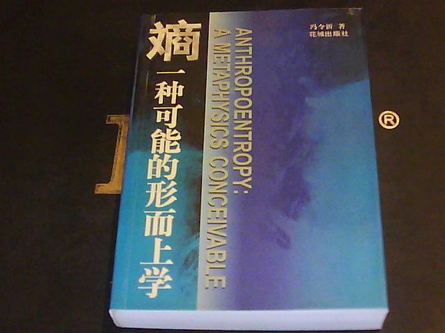 熵：一種可能的形上學