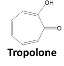 毒力因子tropolone的化學結構式