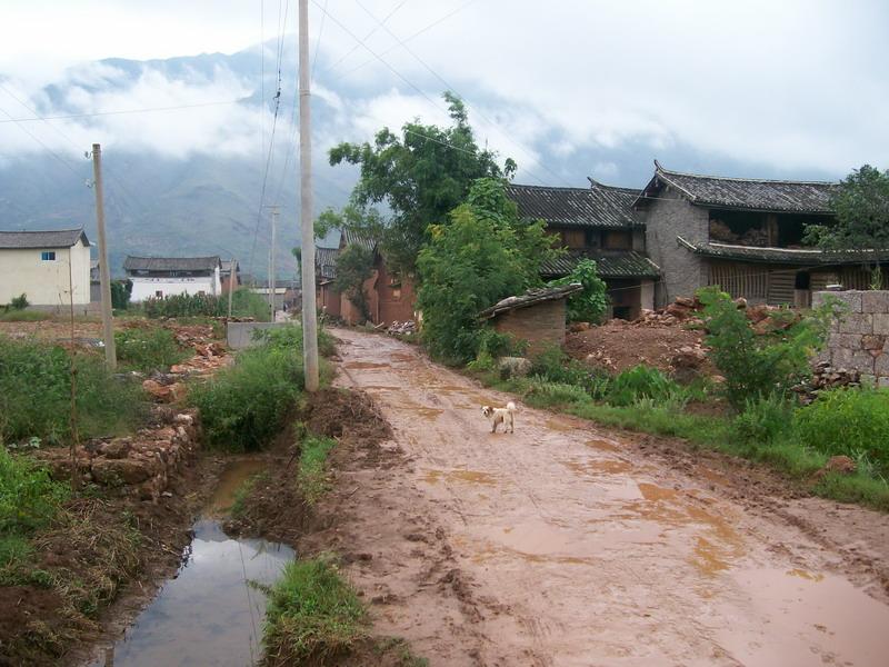 大水美村