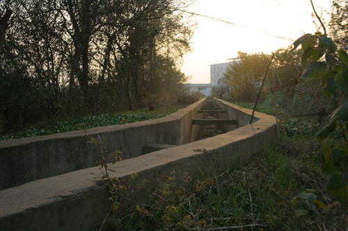 長塘村(浙江省諸暨市街亭鎮長塘村)