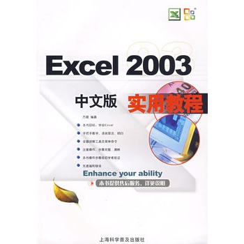 Excel 2003中文版實用教程