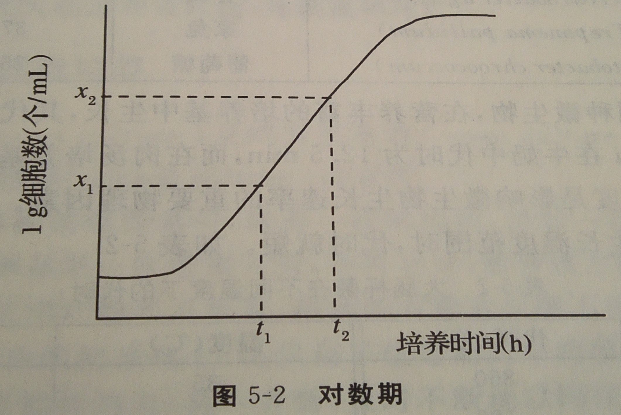 對數生長期