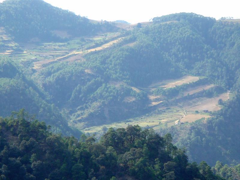 白草坪村(雲南省寧蒗縣寧利鄉白草坪村)