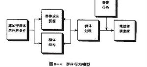 群體規範