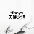 tfboys天使之淚