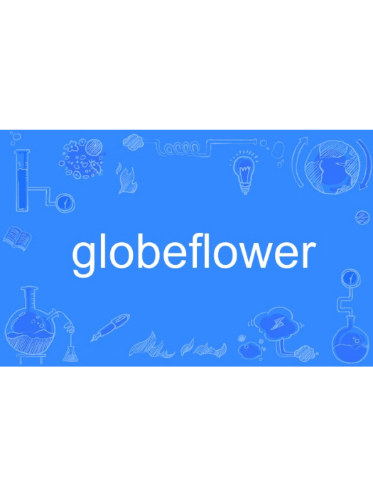globeflower