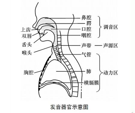 周期性結巴