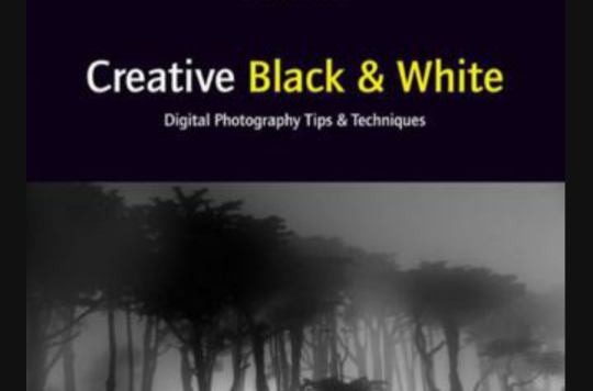 Creative Black and White