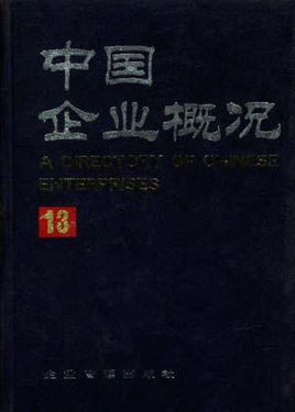 中國企業概況(2)