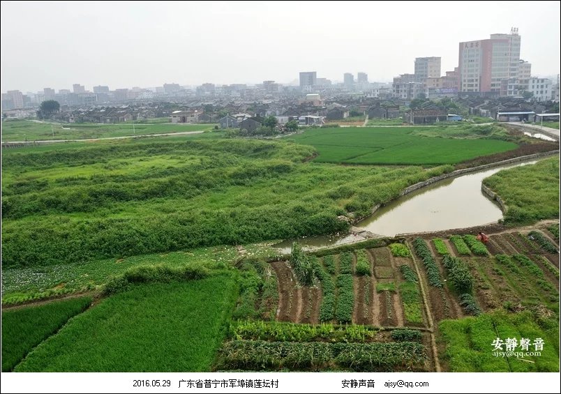 蓮壇村(廣東省普寧市軍埠鎮蓮壇行政村)