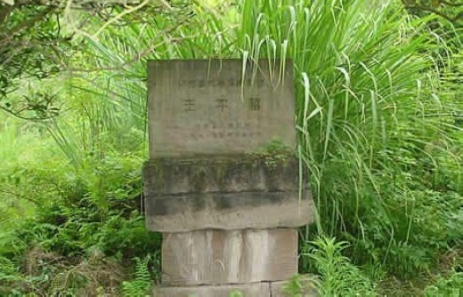 王平(王平將軍（三國蜀鎮北大將軍）)