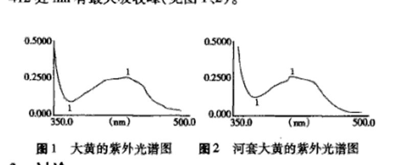 河套大黃(河套大黃)