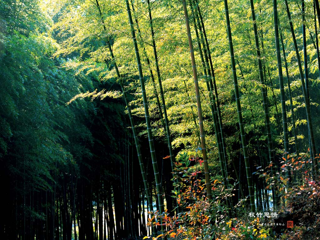 黃柏山國家森林公園