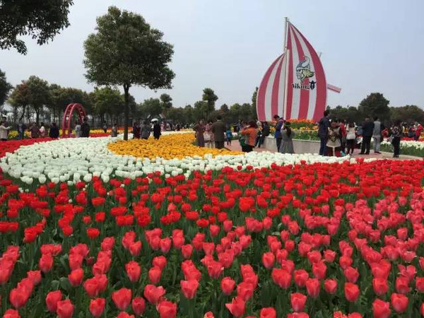 東西湖鬱金香主題公園