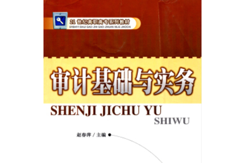 審計基礎與實務(2008年東北師範大學出版社出版的圖書)