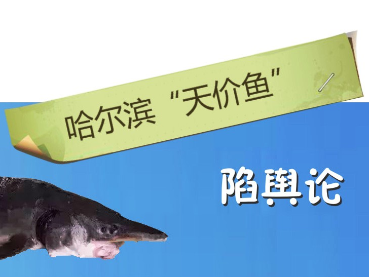 天價魚