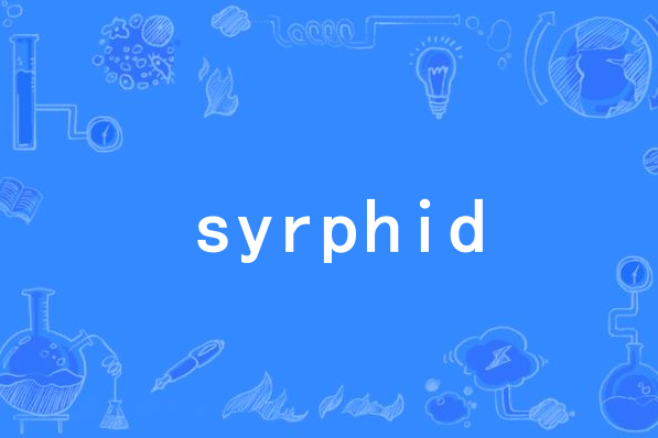 syrphid