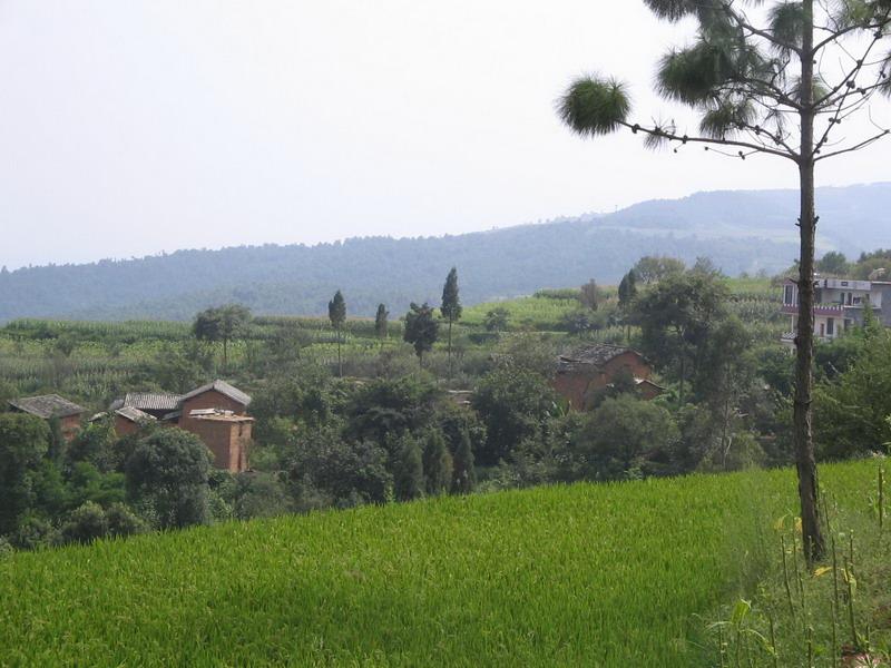 二台坡村(雲南玉溪新平縣腰街鎮二台坡村)