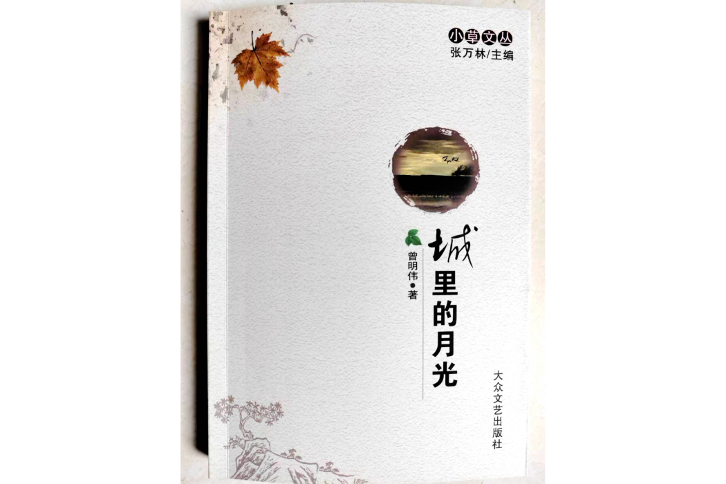 城裡的月光(曾明偉著小說集)