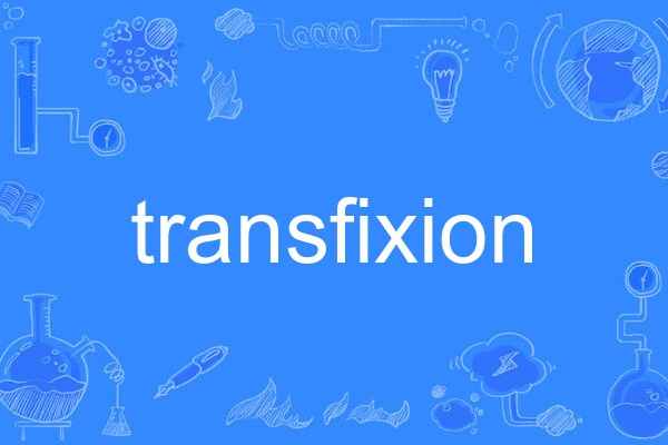 transfixion