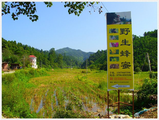 晉家灣自然村(雨河鎮小洛村委會下轄自然村)