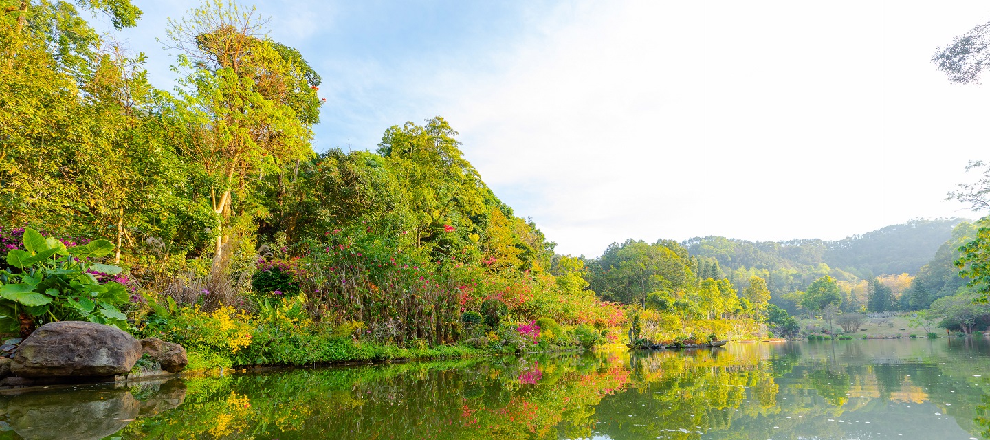 深圳市中國科學院仙湖植物園